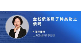 催收行业年度总结PPT:回顾与展望 催收行业年度总结PPT:回顾与展望